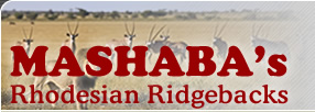 Mashaba's Ridgeback Zuchtstätte